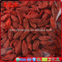 Goma de Goji masticable Ningxia Baya de goji Baya de Goji seca